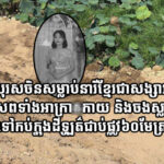 f80e35ddefa70f7533547972890a29d2-780x439