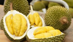 durian_1