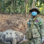 photo_2025-12-25_15-59-23