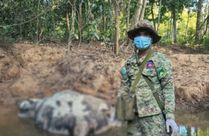 photo_2025-12-25_15-59-23