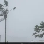 Bavi typhoon cover